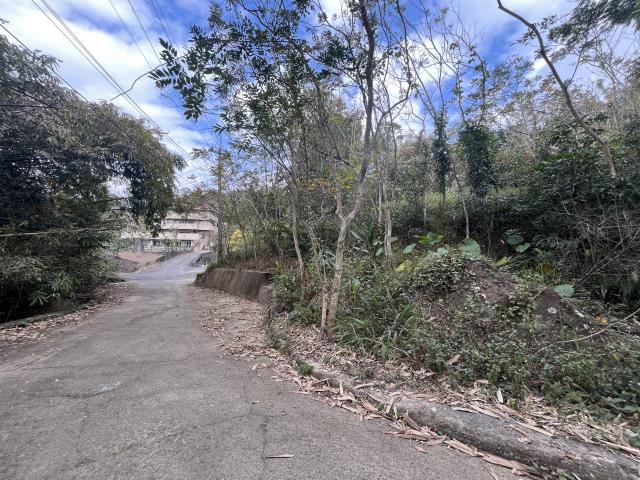 南投鹿谷農地-0