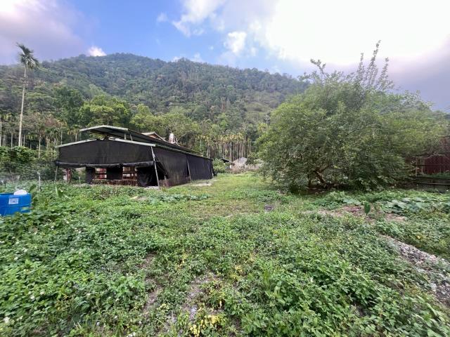 埔里農地-10