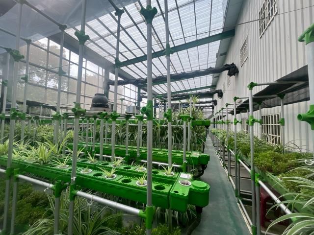 台中大雅農地-10