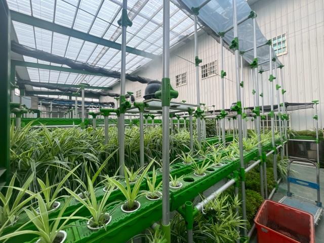 台中大雅農地-11