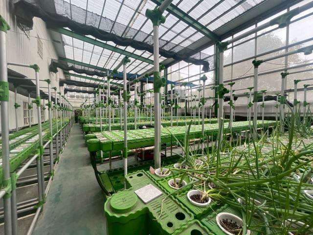 台中大雅農地-12