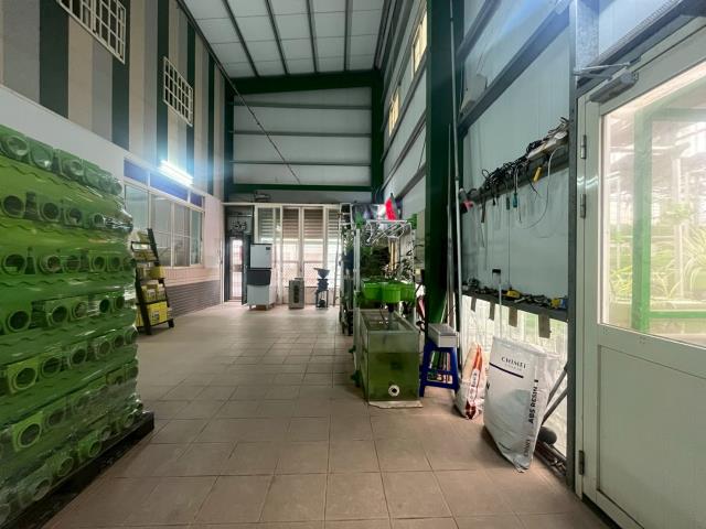 台中大雅農地-14