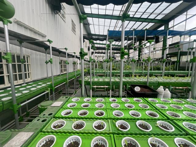 台中大雅農地-0