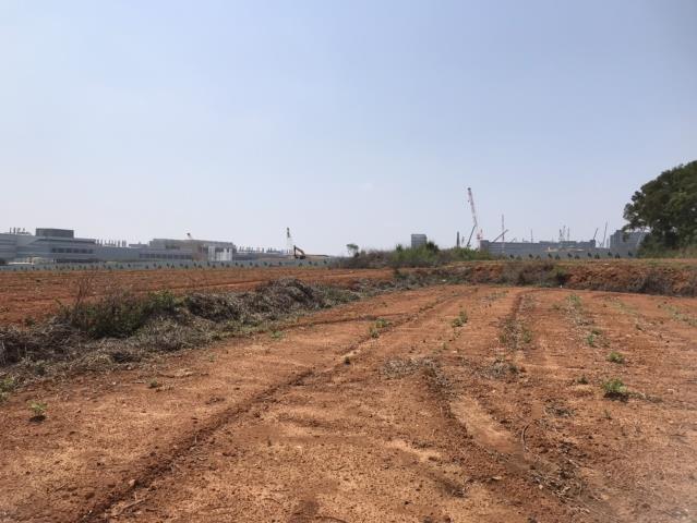 台中大雅農地-13