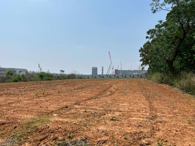 台中大雅農地-0