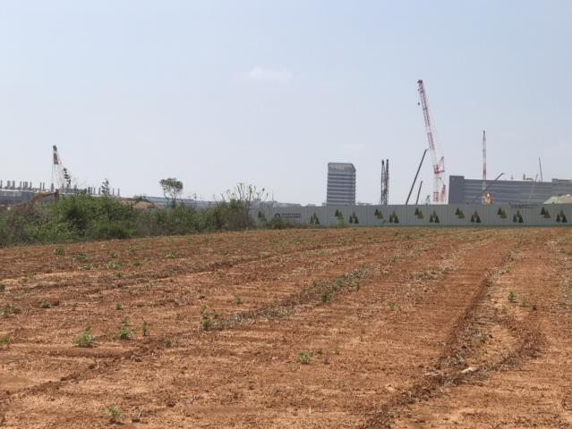 台中大雅農地-10