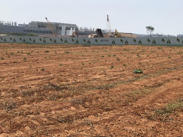 台中大雅農地-11