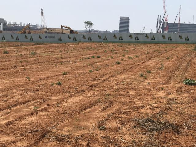 台中大雅農地-14