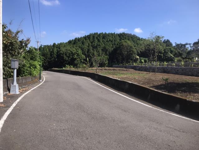 南投鹿谷農地-12