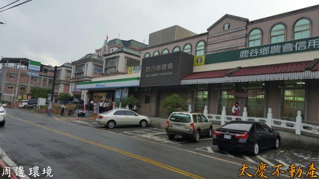 南投鹿谷農地-3