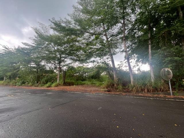 南投草屯工業地-13