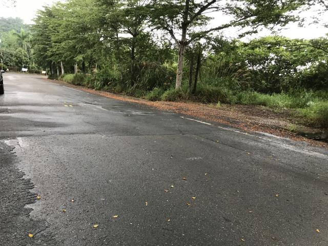 南投草屯工業地-6