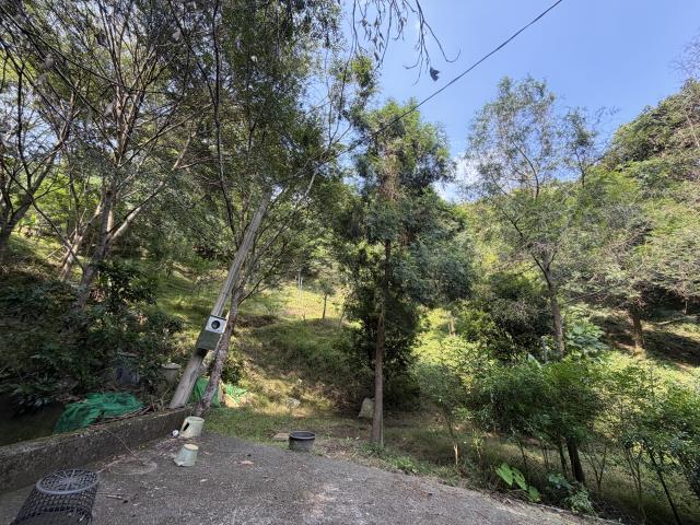 太平山坡地-11