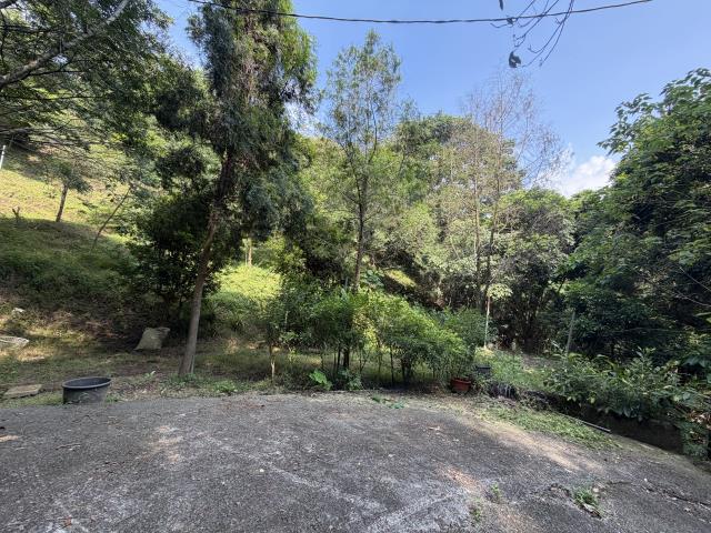太平山坡地-3