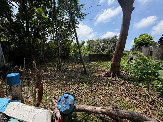 台中豐原工業地-5